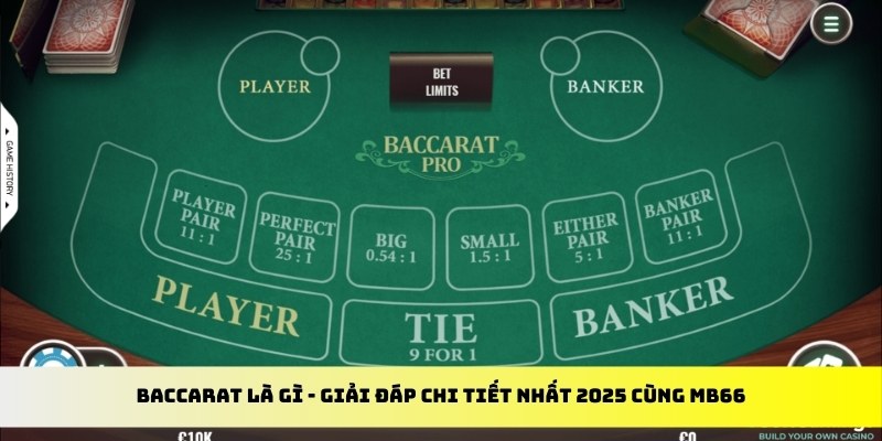 lucky88 best gà chọi cu cần