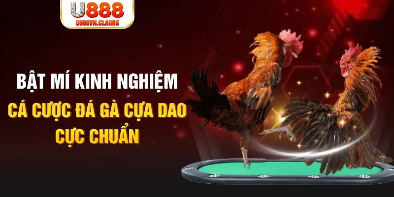 lucky88 best tỷ lệ cá cược châu á là gì