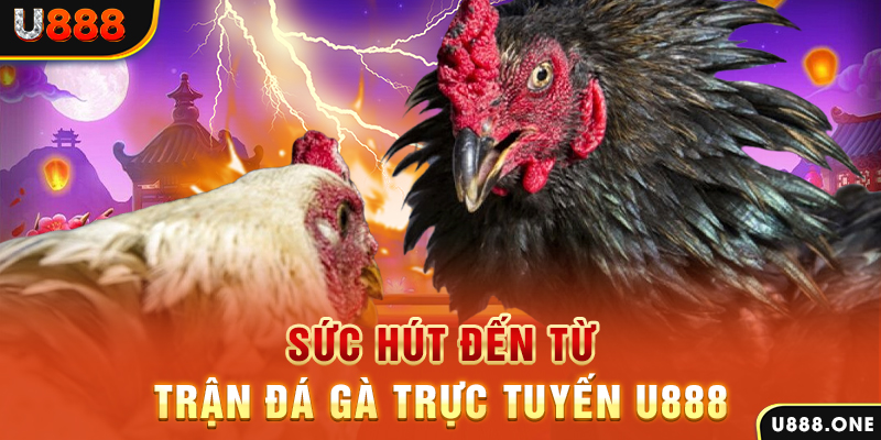 lucky88 best nổ hũ b29 là gì