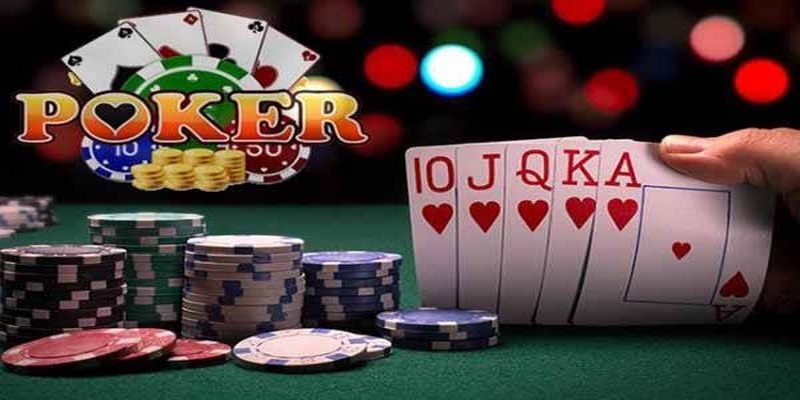 lucky88 best đá gà thomo trực tiếp