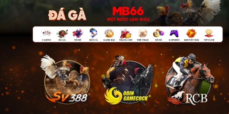 lucky88 best đăng nhập poker số 1