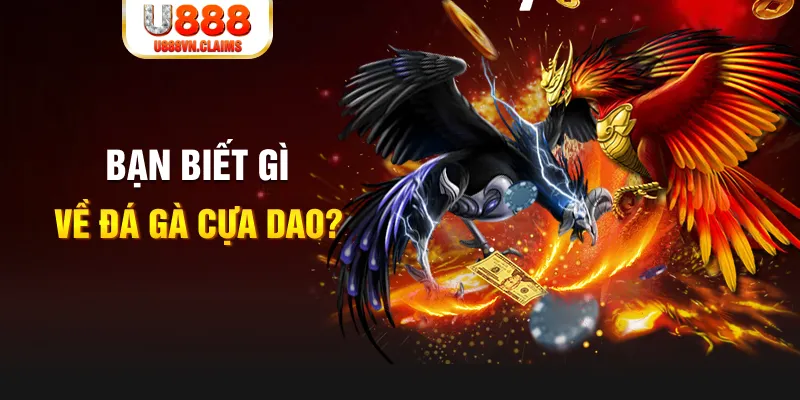 lucky88 best nổ hủ là gì