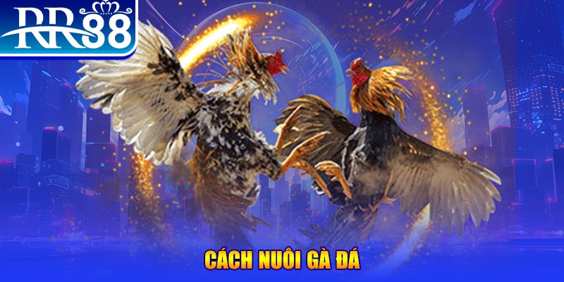 lucky88 best xổ số an giang
