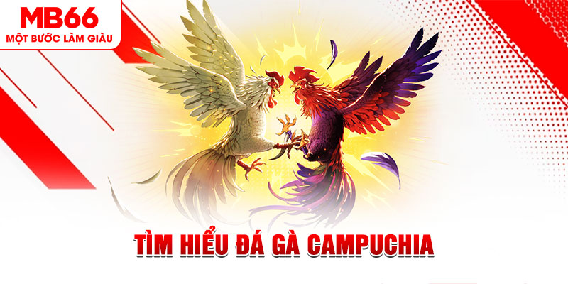 lucky88 best đá gà trực tiếp