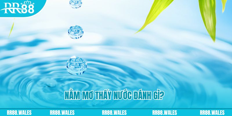 lucky88 best TP Bắn cá