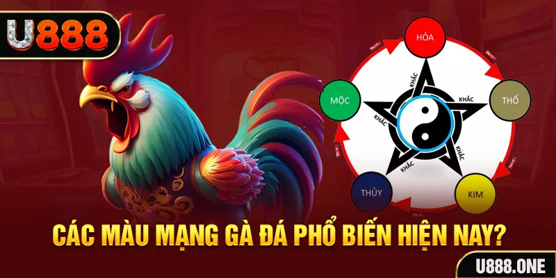 lucky88 best trực tiếp đá gà 88