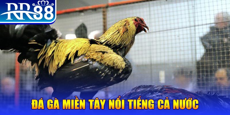 lucky88 best JILI Game Bài 3d