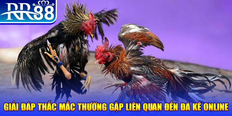 lucky88 best xổ số đà lạt