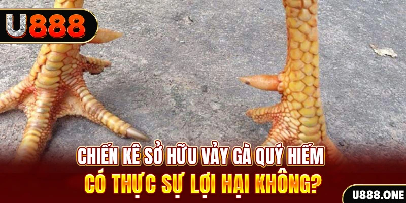 lucky88 best nohu .mx nổ hủ là gì