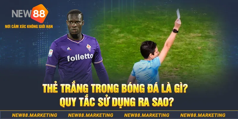 lucky88 best gà chọi mộc hóa