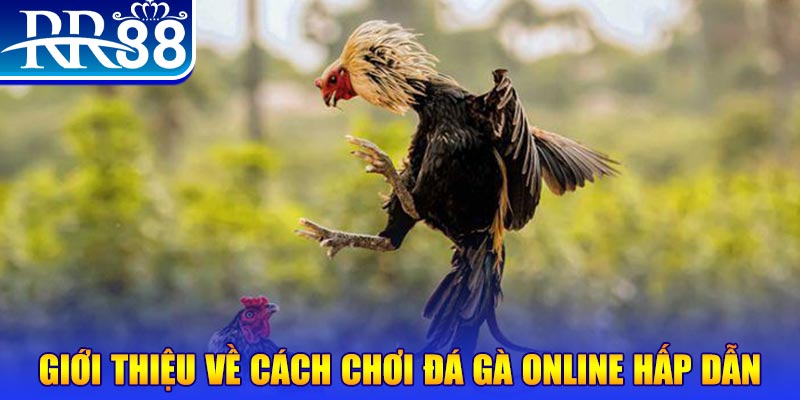 lucky88 best game nổ hũ rút tiền mặt là gì