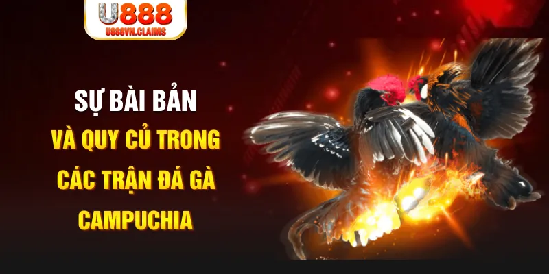 lucky88 best YGR Điện Tử