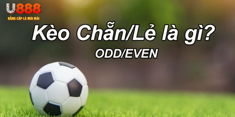 lucky88 best đăng nhập poker hôm nay
