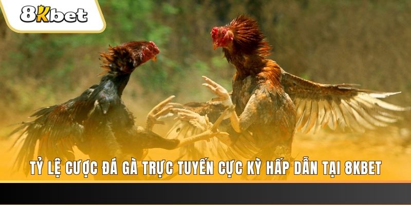 lucky88 best đăng nhập phỏm trực tiếp