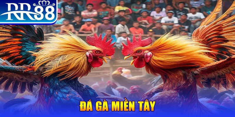 lucky88 best chơi slot là gì