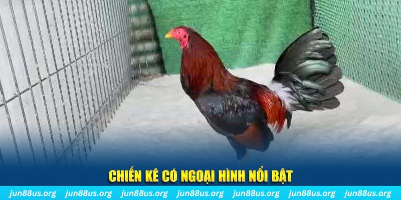 lucky88 best chạy quảng cáo cho game bài bị phạt như thế nào