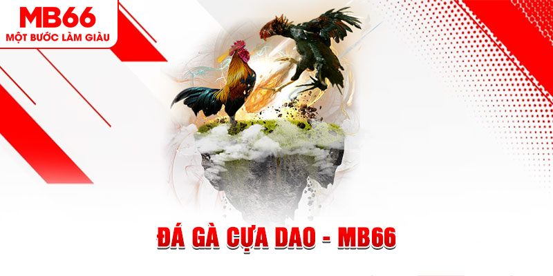 lucky88 best đá gà sv388 gold