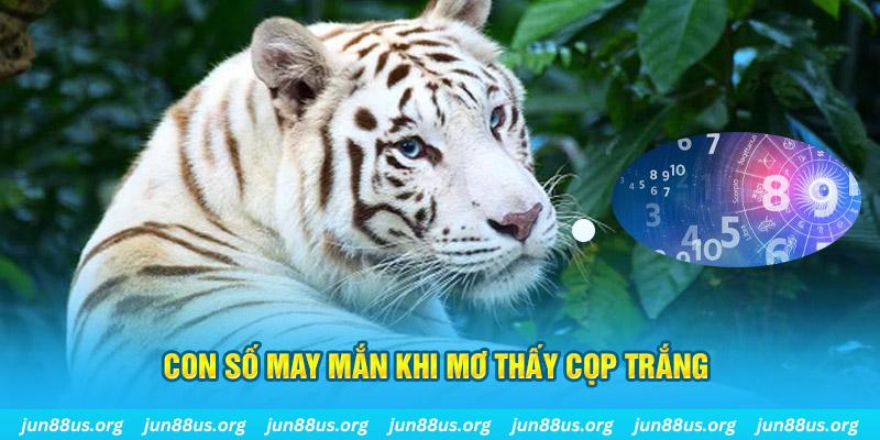 lucky88 best đá gà trực tiếp 88